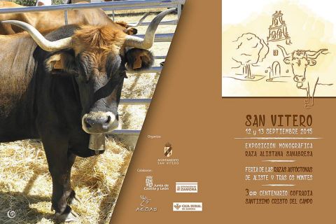 CARTEL SAN VITERO 12 13 DE SEPTIEMBRE