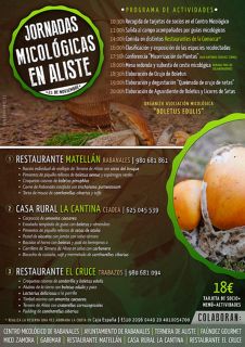JORNADAS MICOLÓGICAS EN ALISTE